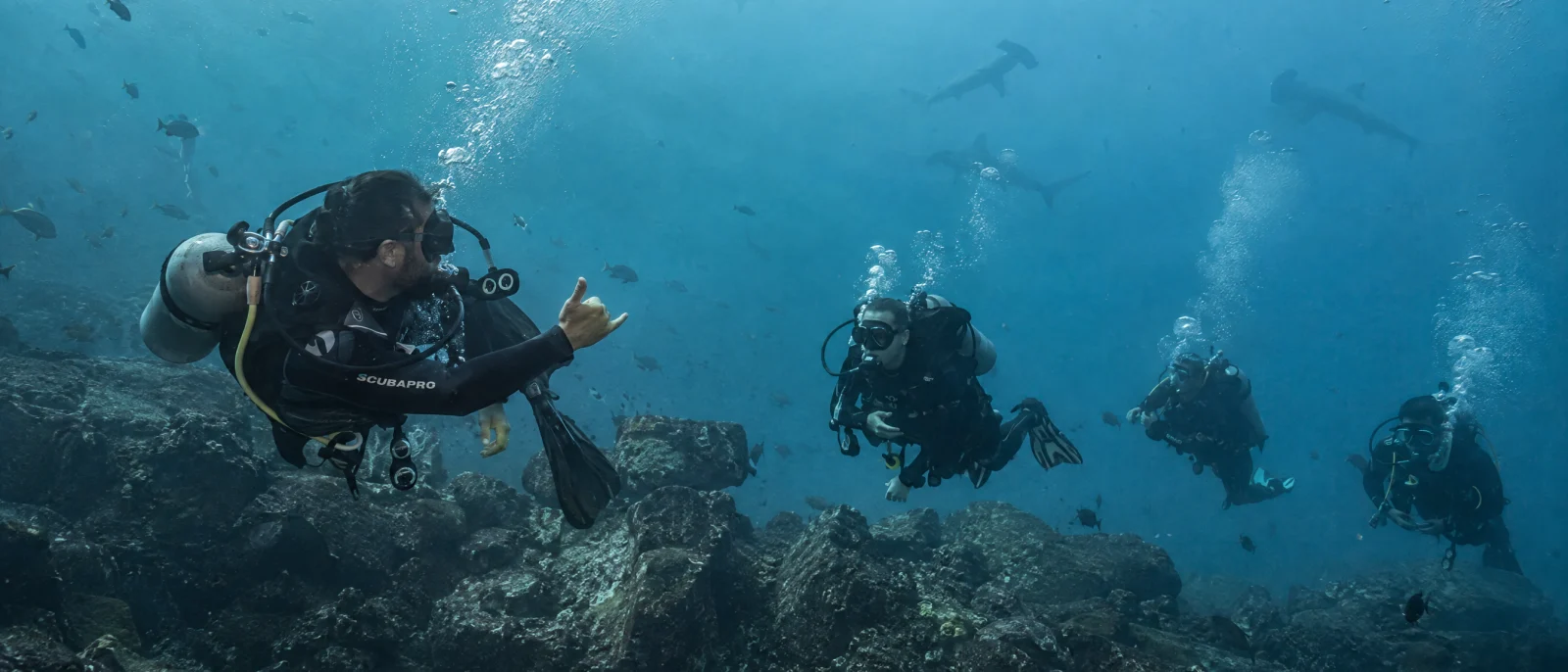 Divers observing a school of hammerhead sharks in the Galápagos Marine Reserve
