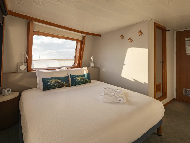 Junior Suite cabin aboard Galápagos Legend with a double bed